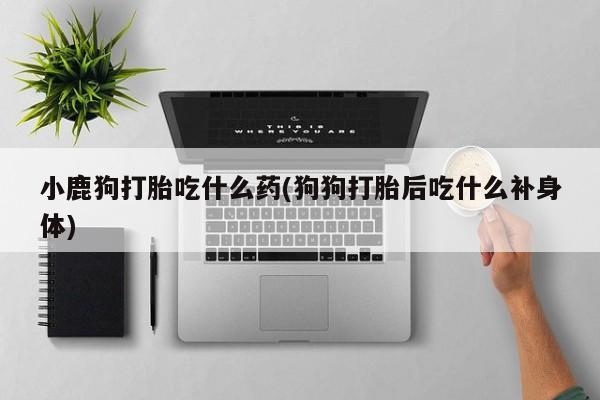 网上怎么购买流产药小鹿狗打胎吃什么药(狗狗打胎后吃什么补身体)