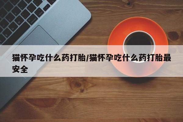 网上怎么购买流产药猫怀孕吃什么药打胎/猫怀孕吃什么药打胎最安全