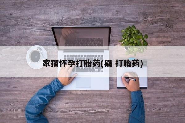 网上怎么购买流产药家猫怀孕打胎药(猫 打胎药)