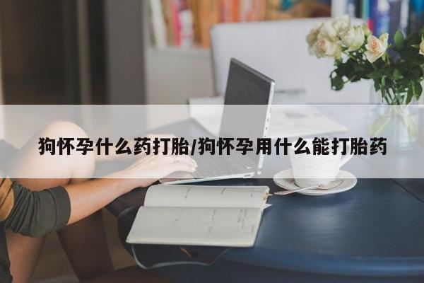 网上怎么购买流产药狗怀孕什么药打胎/狗怀孕用什么能打胎药